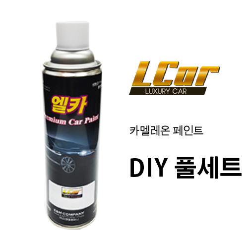 엘카 카멜레온 페인트 DIY 풀세트 상품